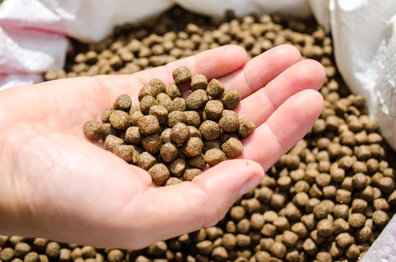 Ampliación del portafolio de alimentación  animales