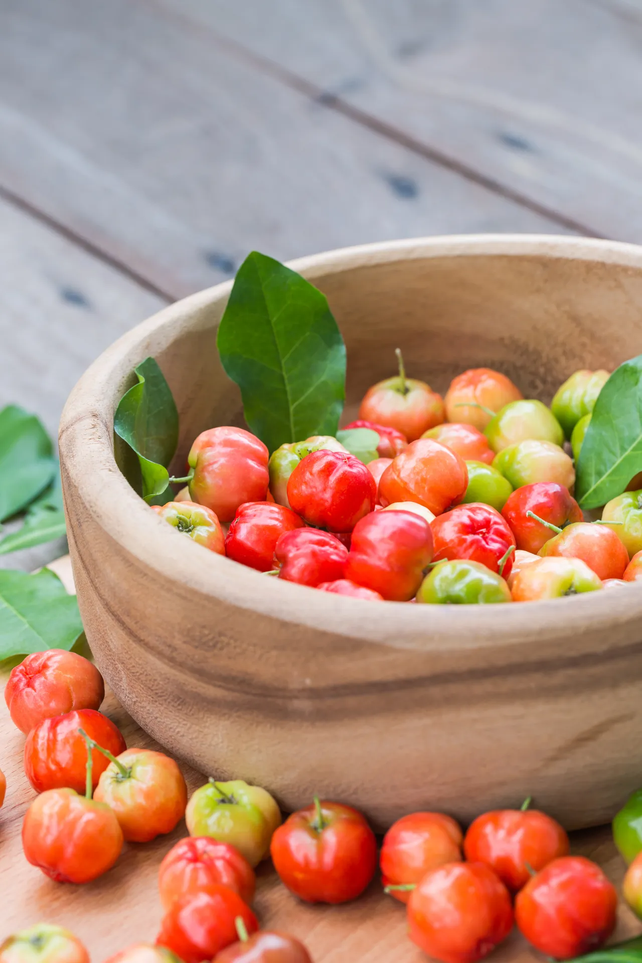 Acerola cherry