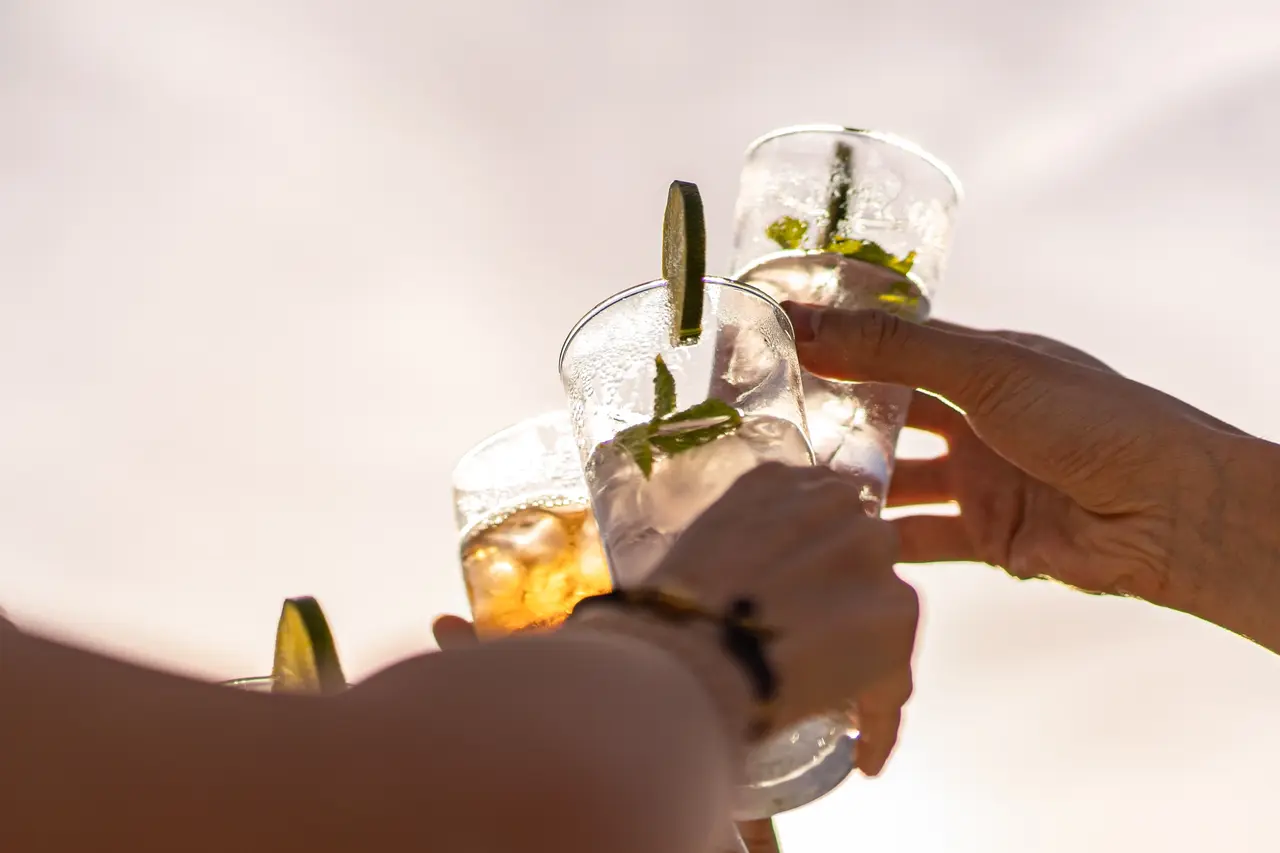 Bebidas