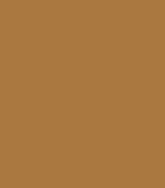 Brown Color I