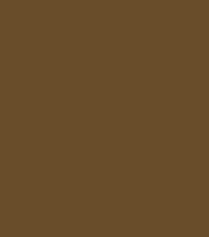 Brown Color II