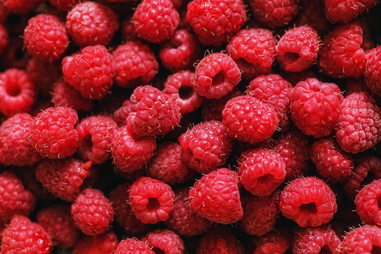 Framboesa