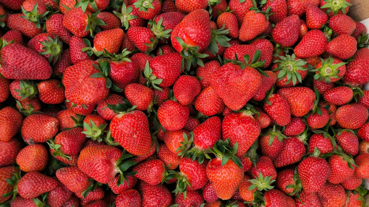 Morango