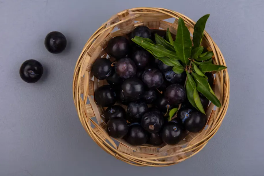 Jabuticaba