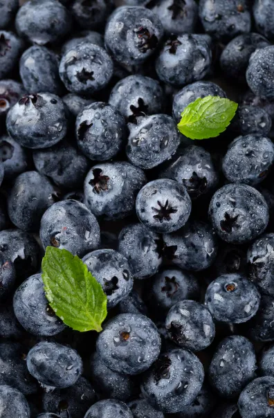 Blueberry