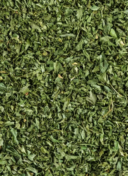 Green Yerba Mate