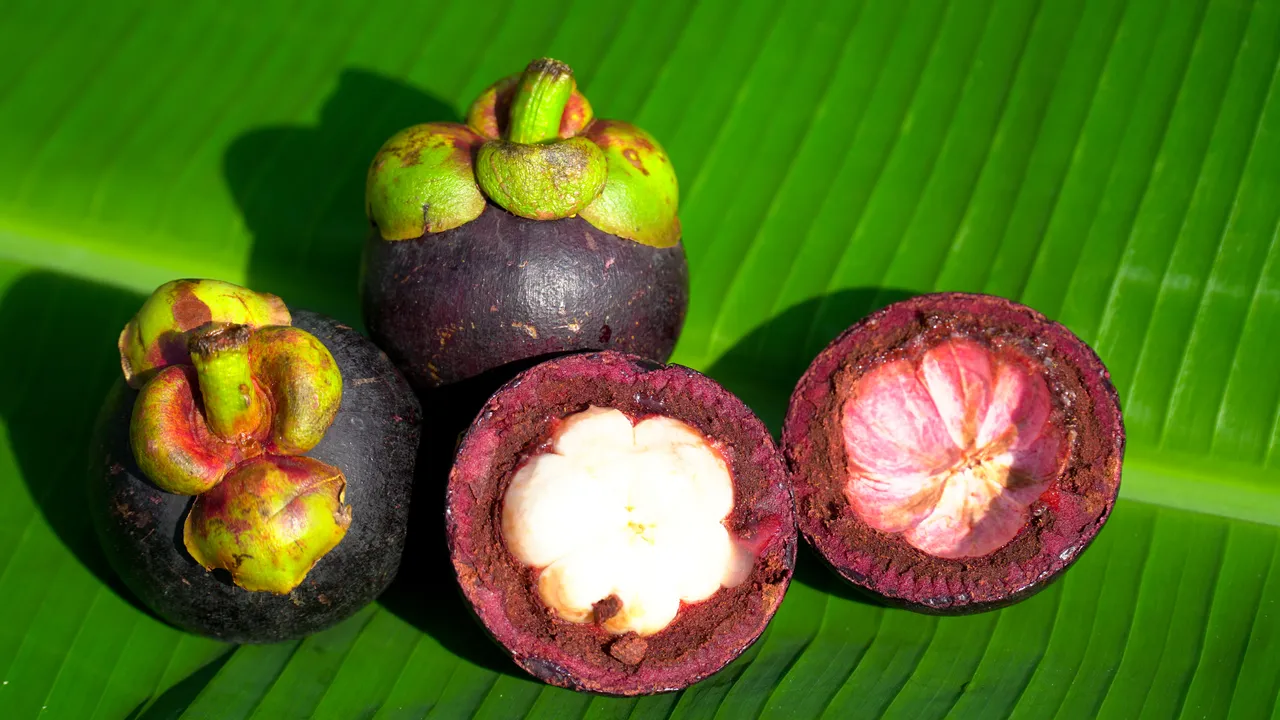 Mangosteen