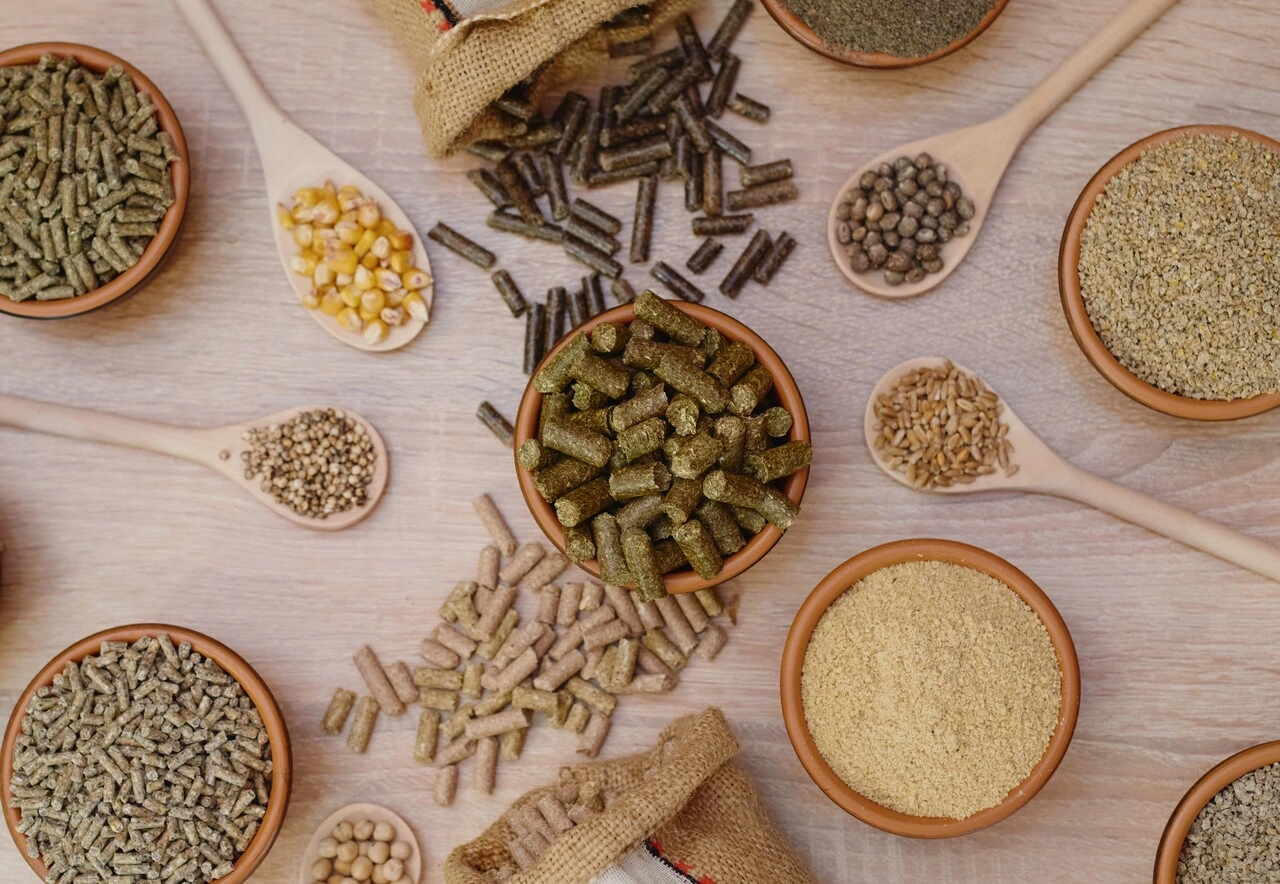 Feed <span class="font-normal"> (pellet and bran) </span>