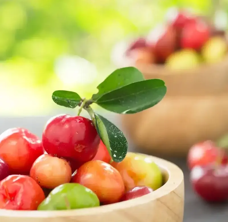 Acerola cherry